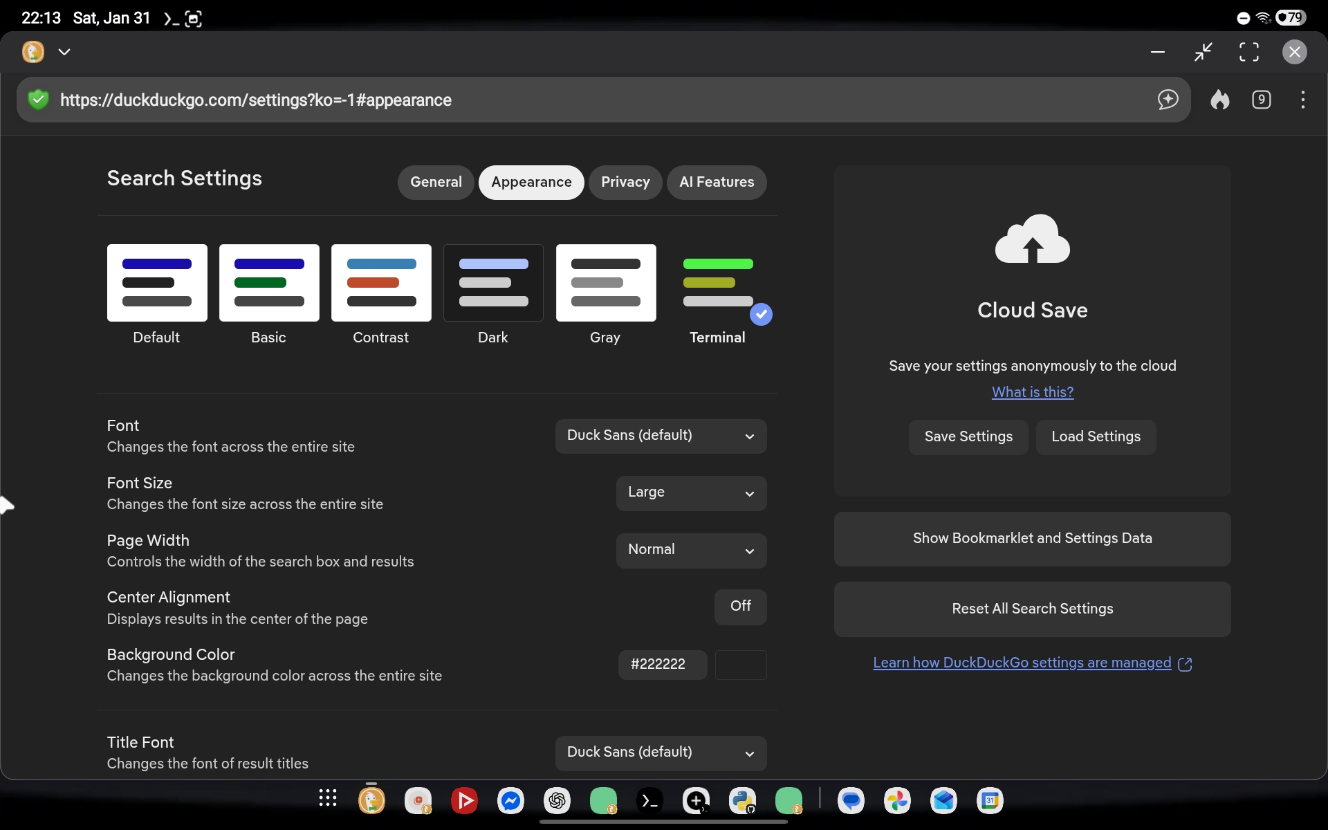 DuckDuckGo&rsquo;s terminal theme in the settings